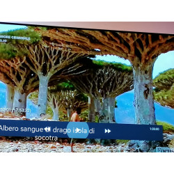 INCENSO SANGUE DI DRAGO