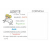 ARIETE