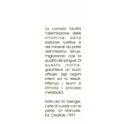 ARIETE SEGNALIBRO