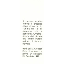 LEONE SEGNALIBRO