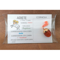 ARIETE